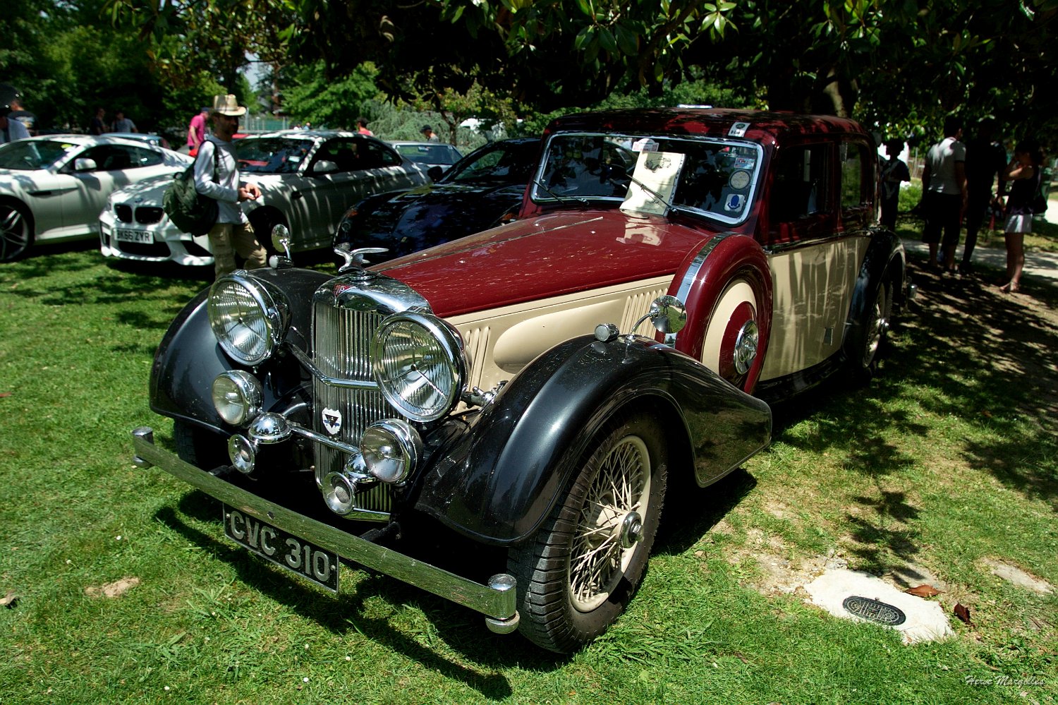 B45D3284.jpg