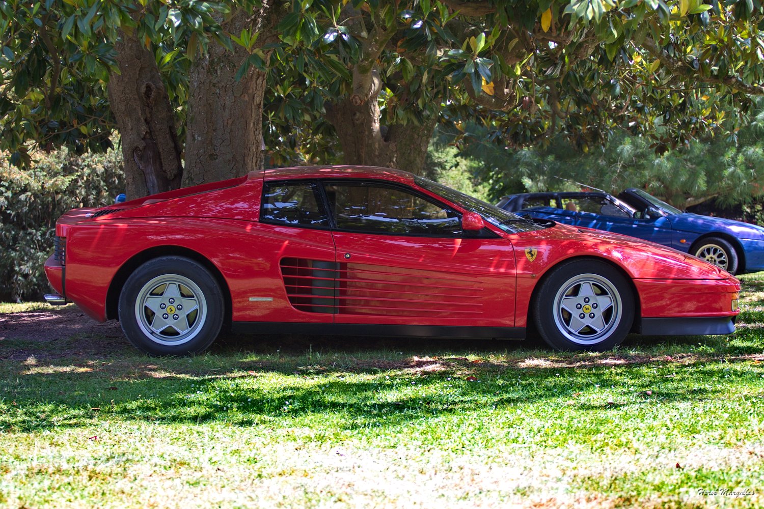 Ferrari-Testa_Rosa.jpg