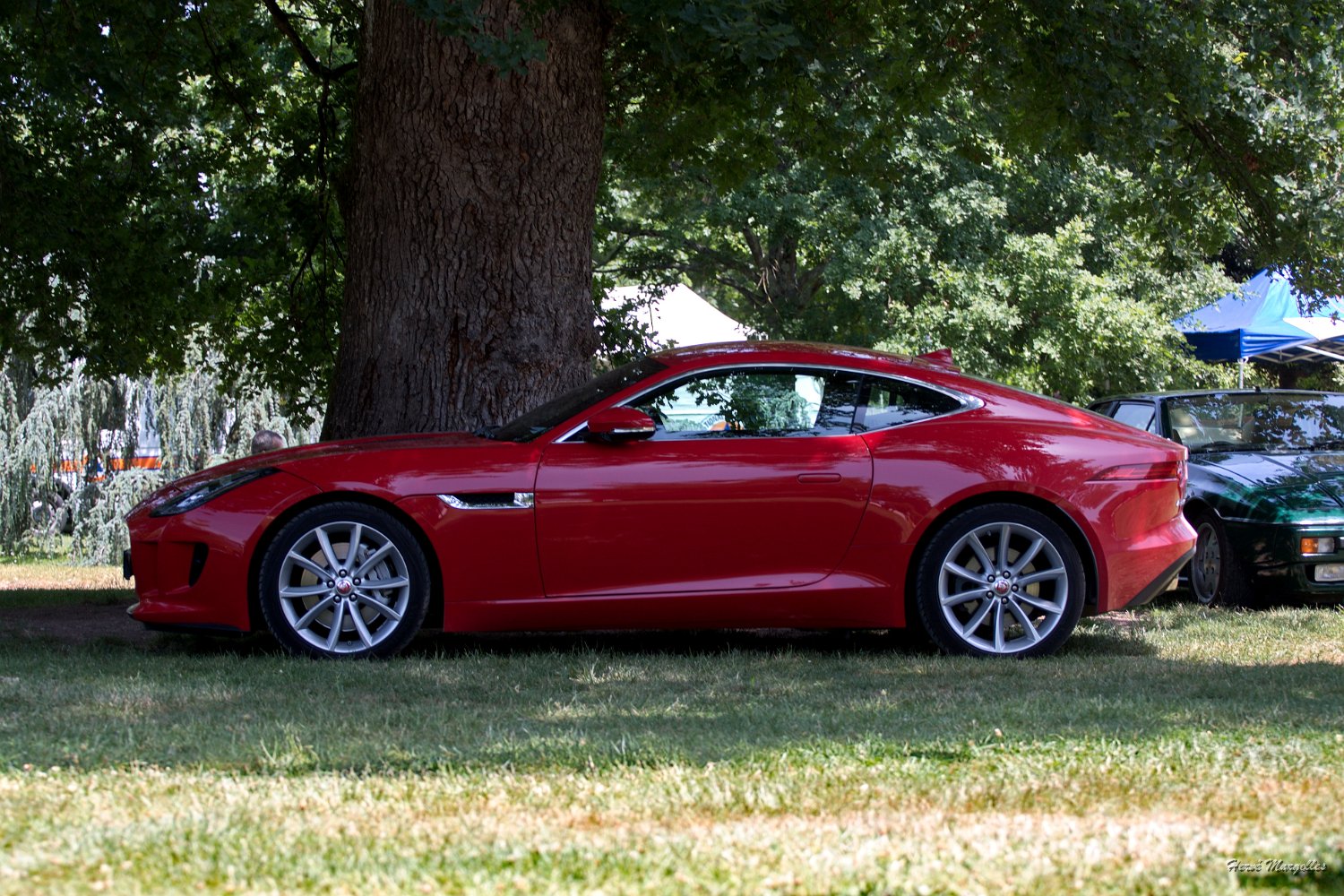Jaguar-XF.jpg