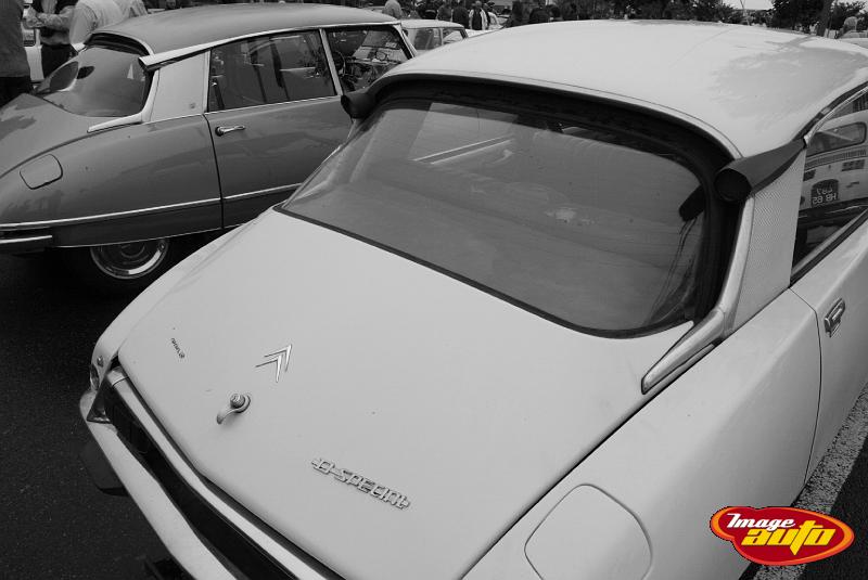 B45D6985.JPG