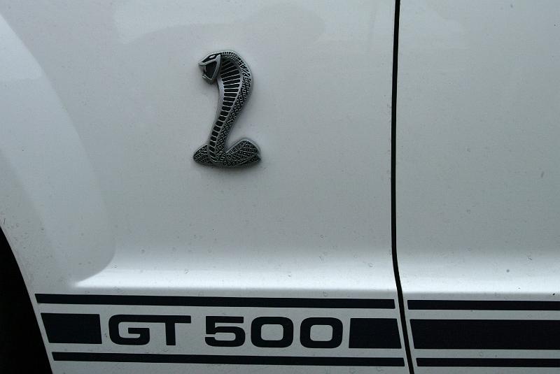 B45D0138.JPG - Le cobra est partout, sur le côté...