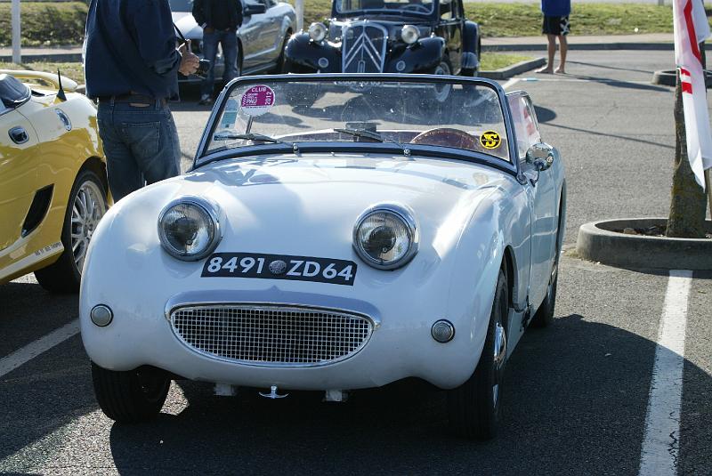 GB-28.JPG - Austin Frog Eyes