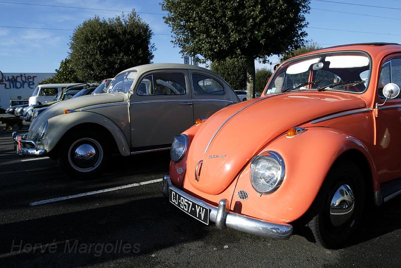 volkswagen-03.jpg - Volkswagen Coccinelle