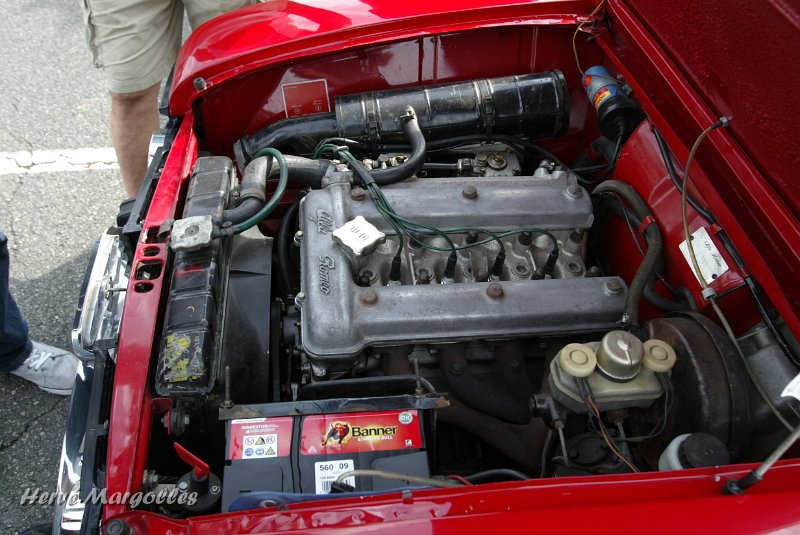 Alfa-Romeo-Nuova-01.JPG