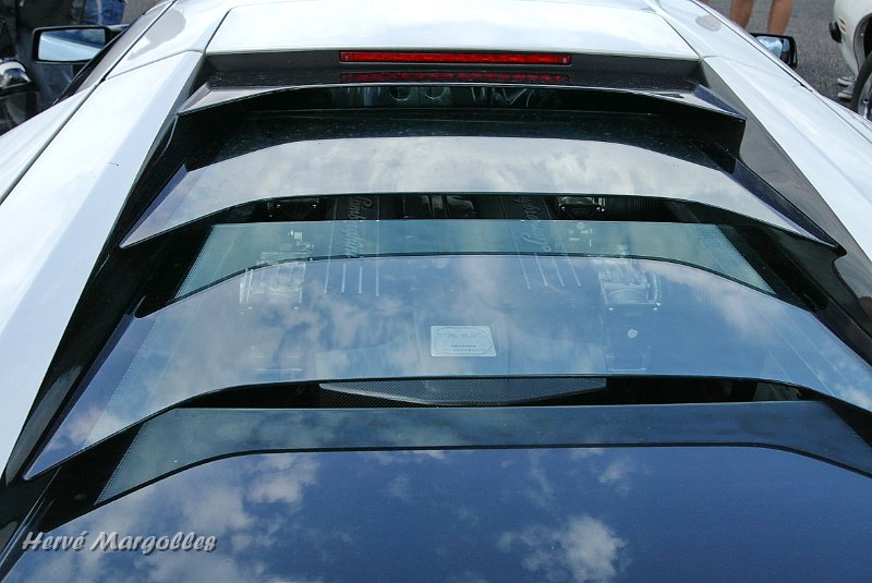 Murcielago-01.JPG