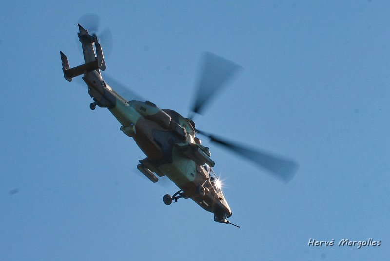 Tigre-03.JPG