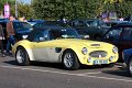 Healey-02