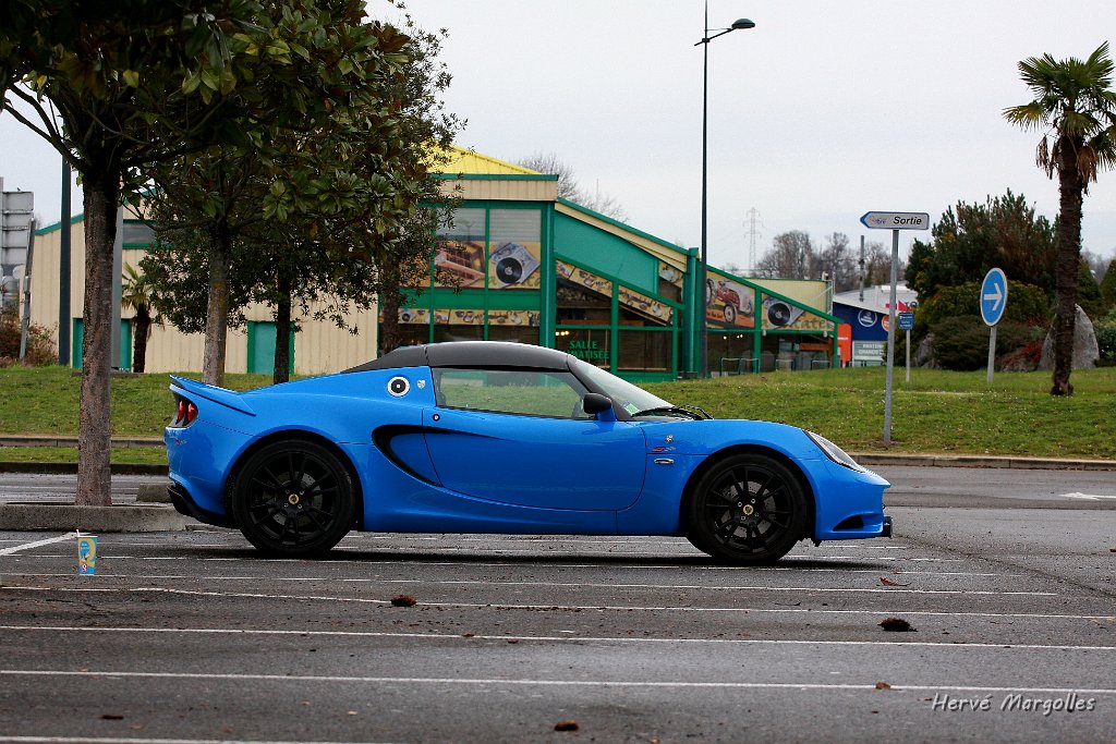 Lotus_02.JPG