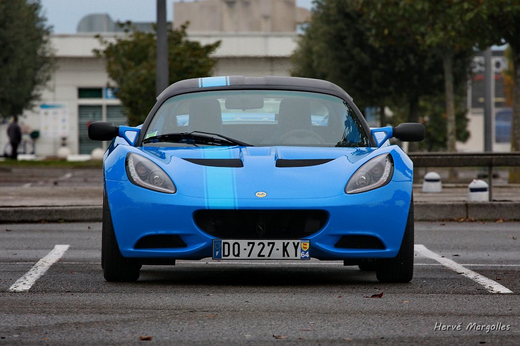 Lotus_04.JPG
