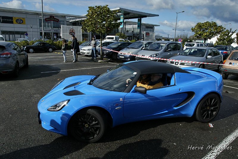 Lotus_01.JPG