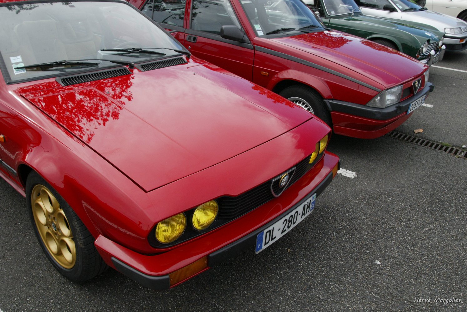 Alfa-01.JPG