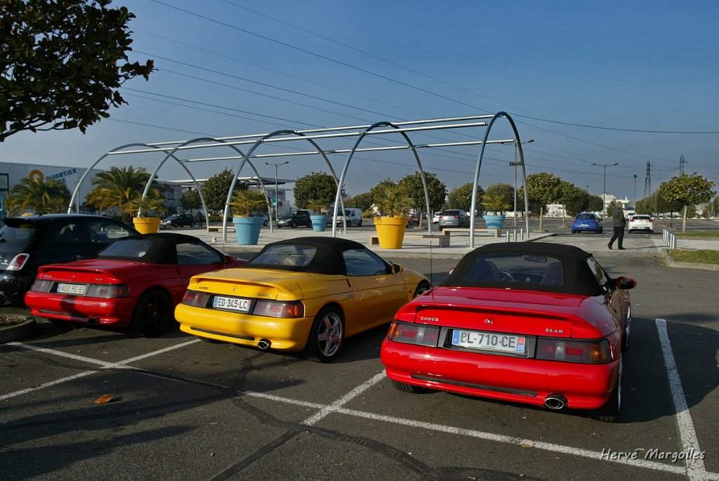 Elan-02.JPG