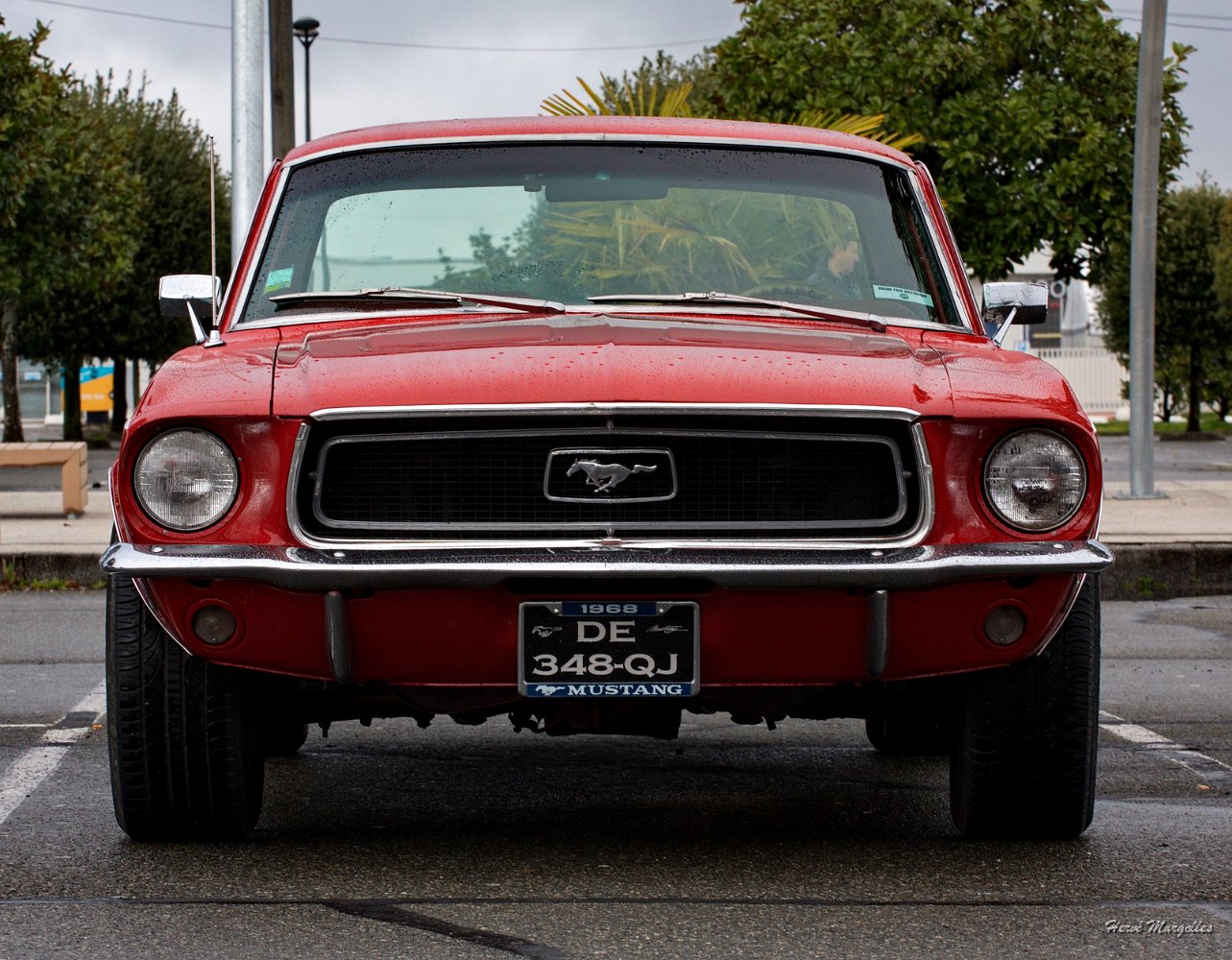 IMG_9621.jpg