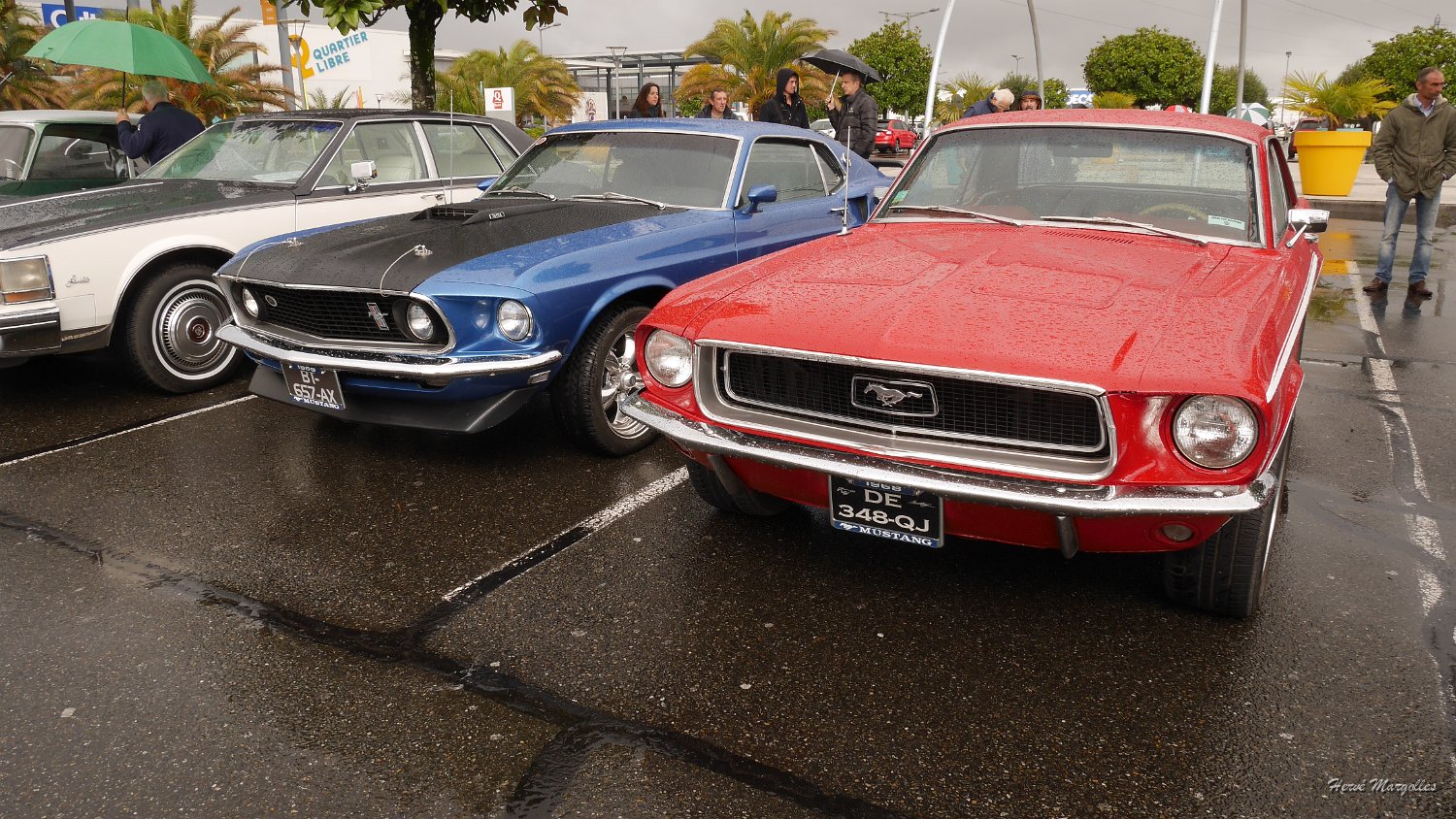 P1370641.JPG