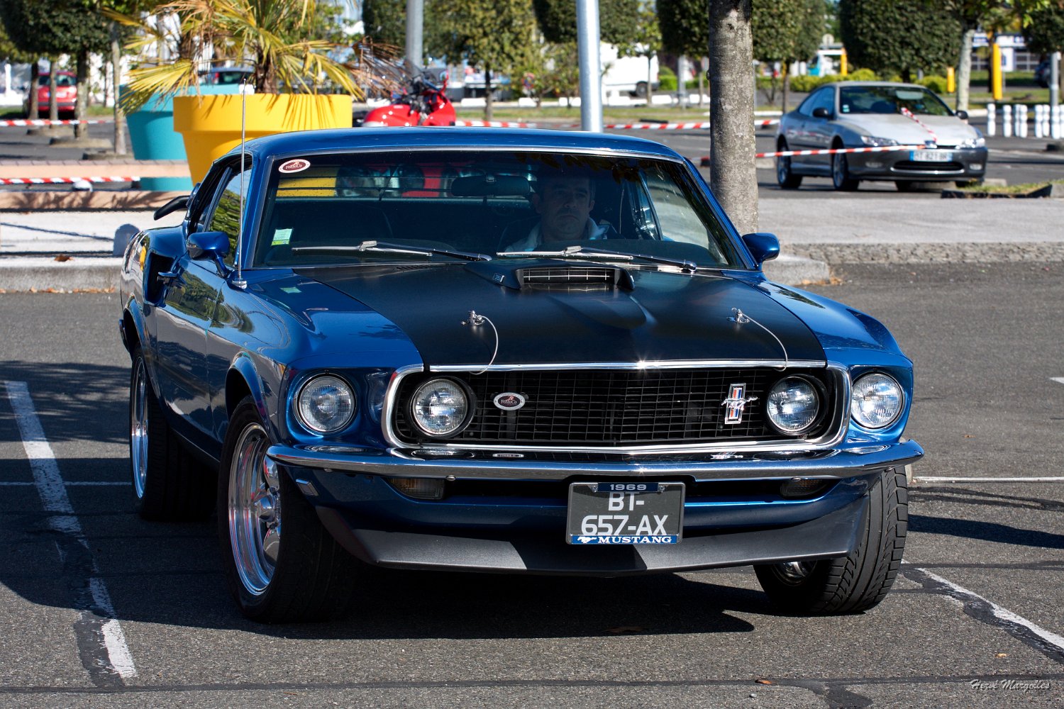 Ford-Mustang-01.jpg