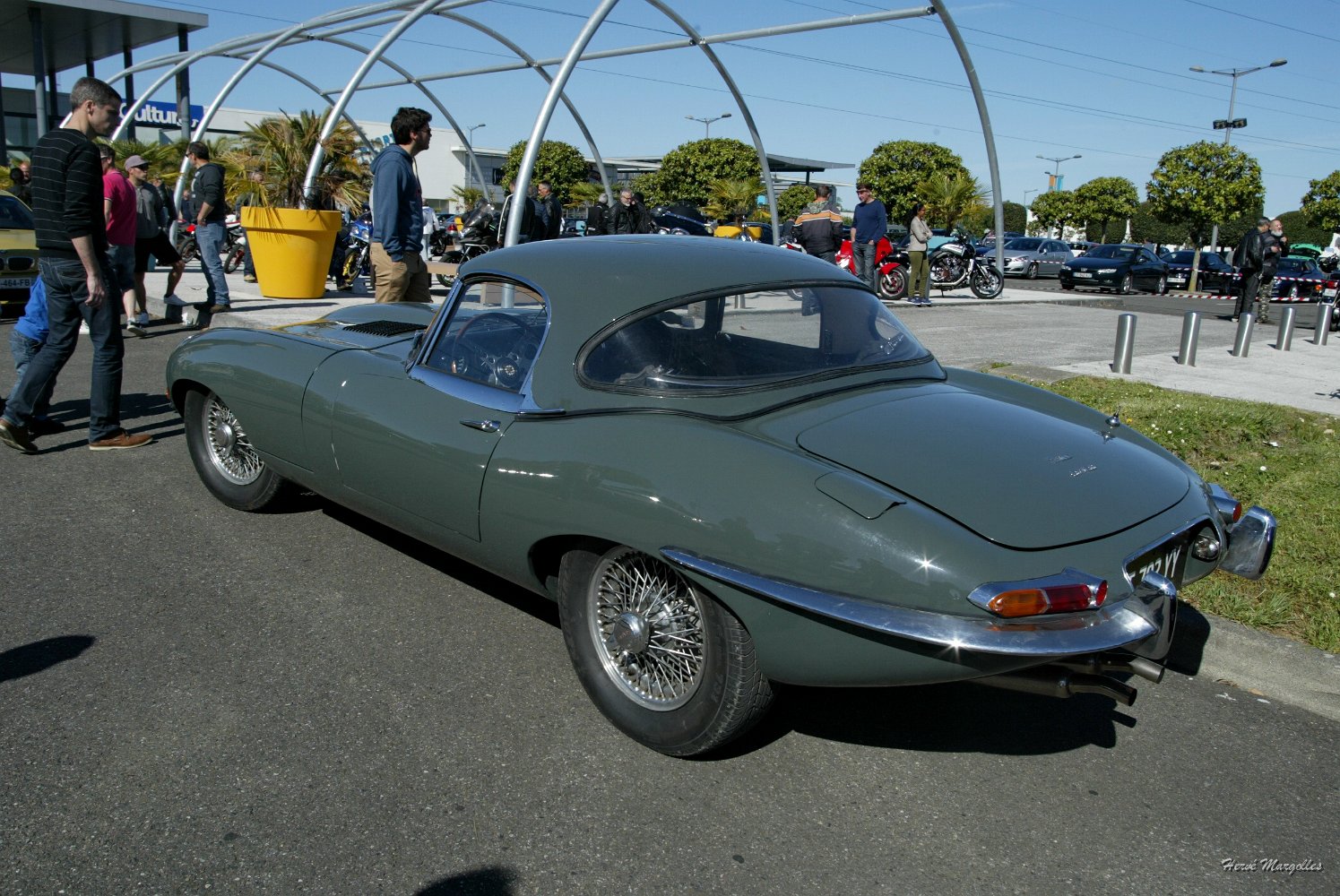 Jaguar-02.jpg