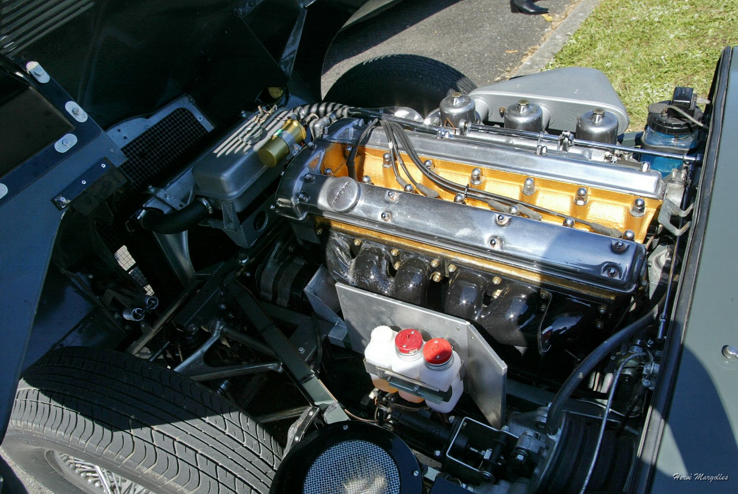 Jaguar-06.jpg