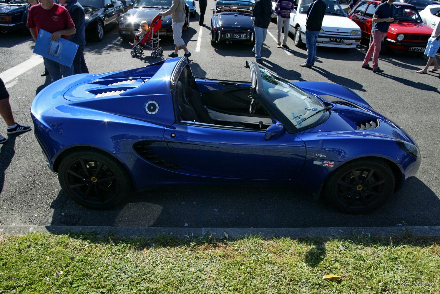 Lotus-01.jpg