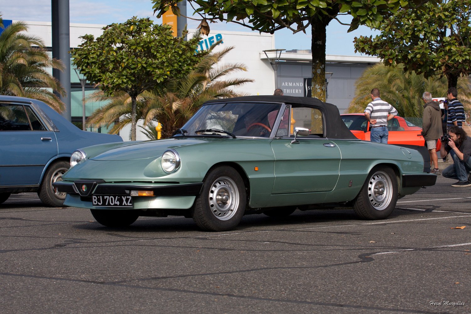alfa-04.jpg