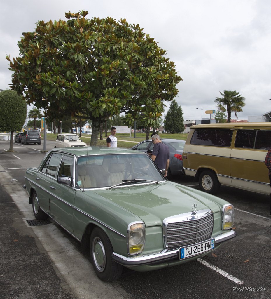 Mercedes-01.jpg