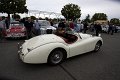 Jaguar-01