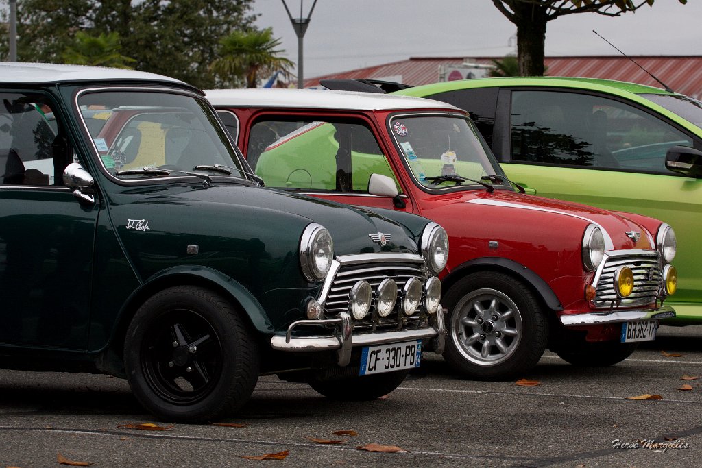 Mini-01.jpg