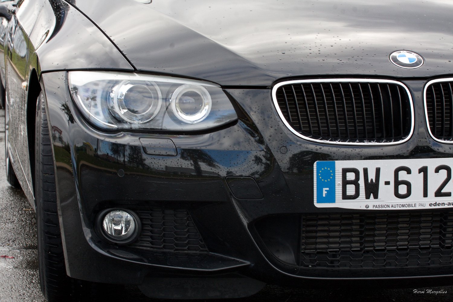 BMW-01.jpg
