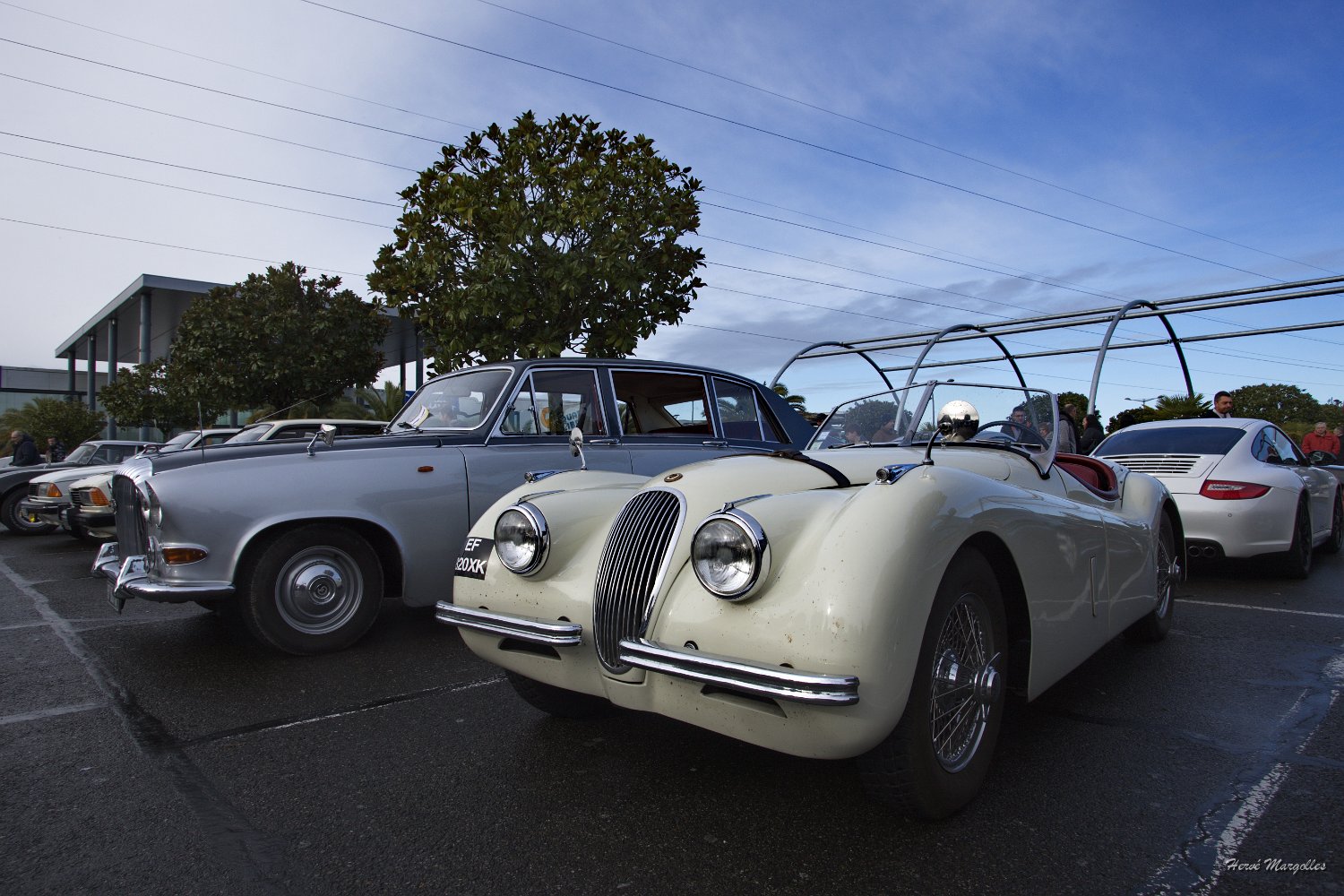Jaguar-XK120.jpg