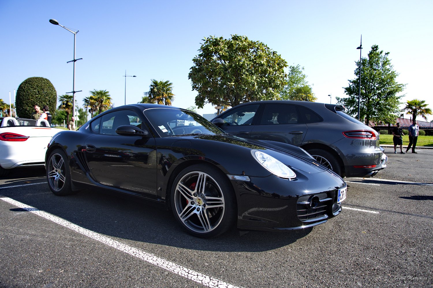 Porsche-04.jpg