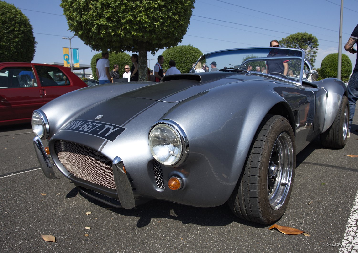 AC_Cobra-02.jpg