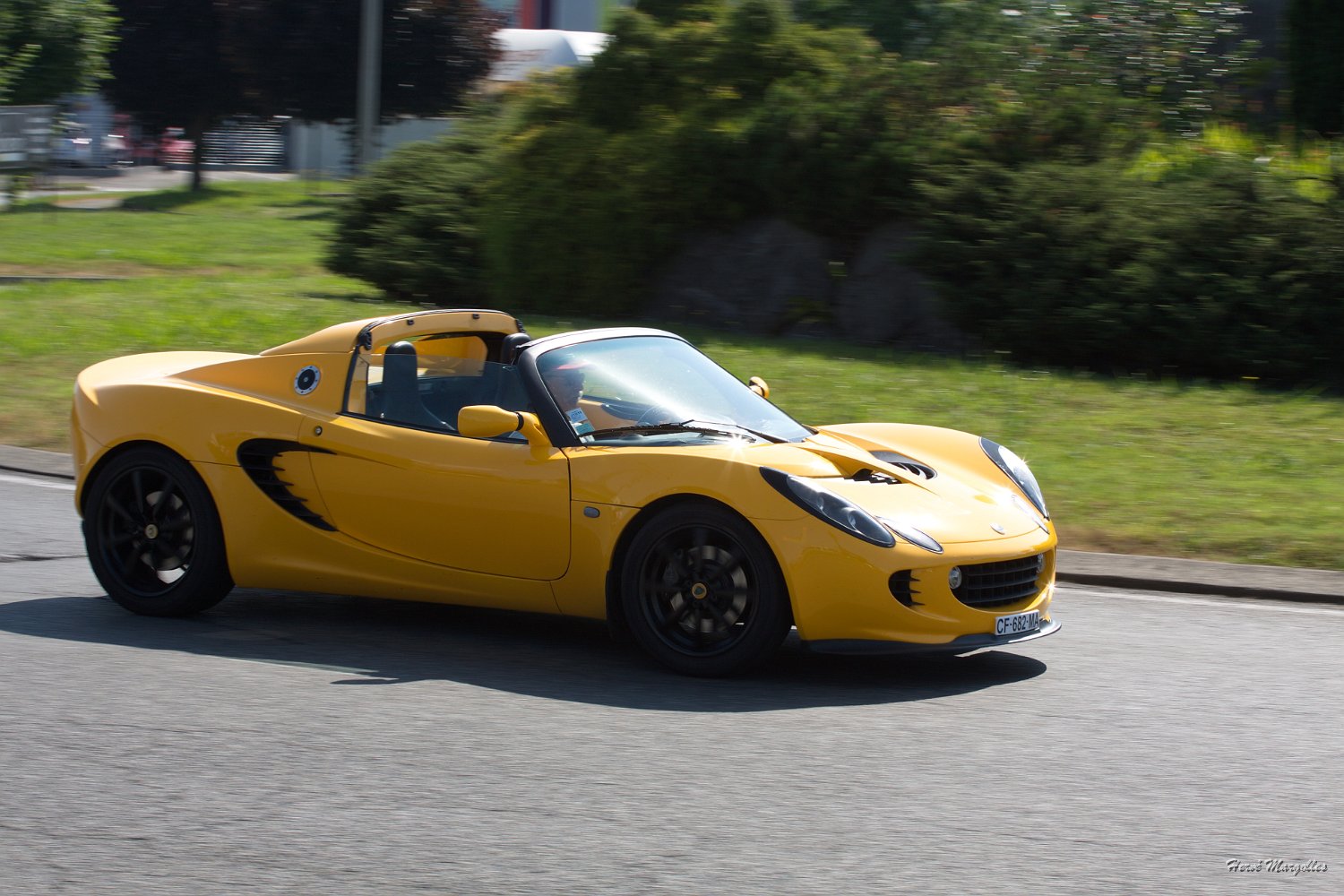 Lotus-03.jpg