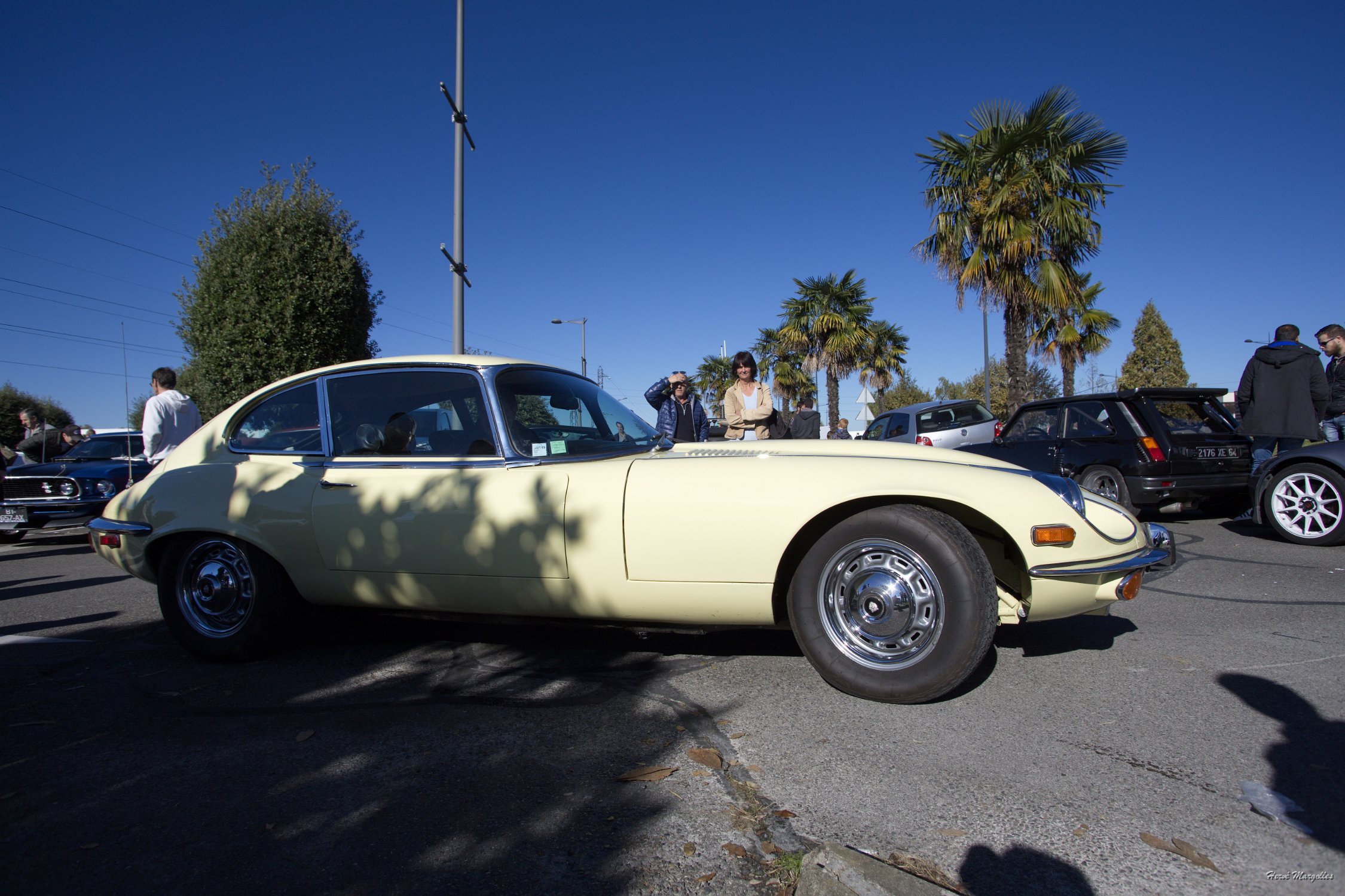 Jaguar-TYPE-E-02.jpg