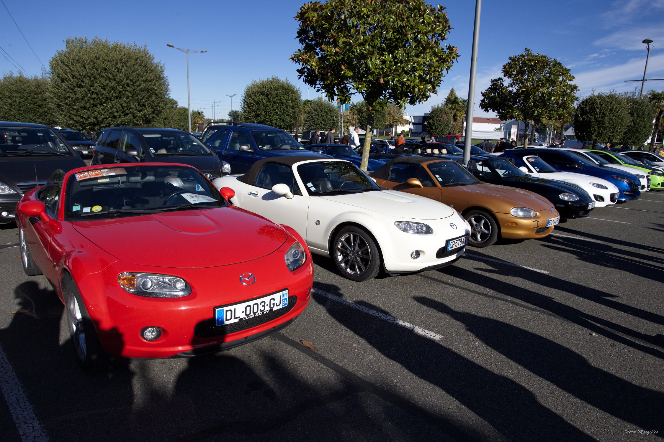 Mazda-MX5-01.jpg