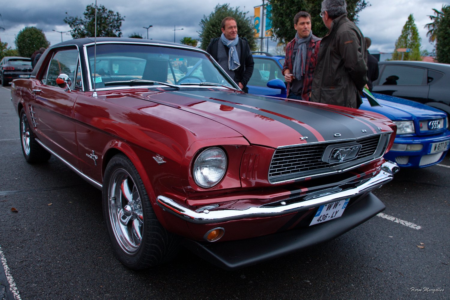 Ford-Mustang-01.jpg