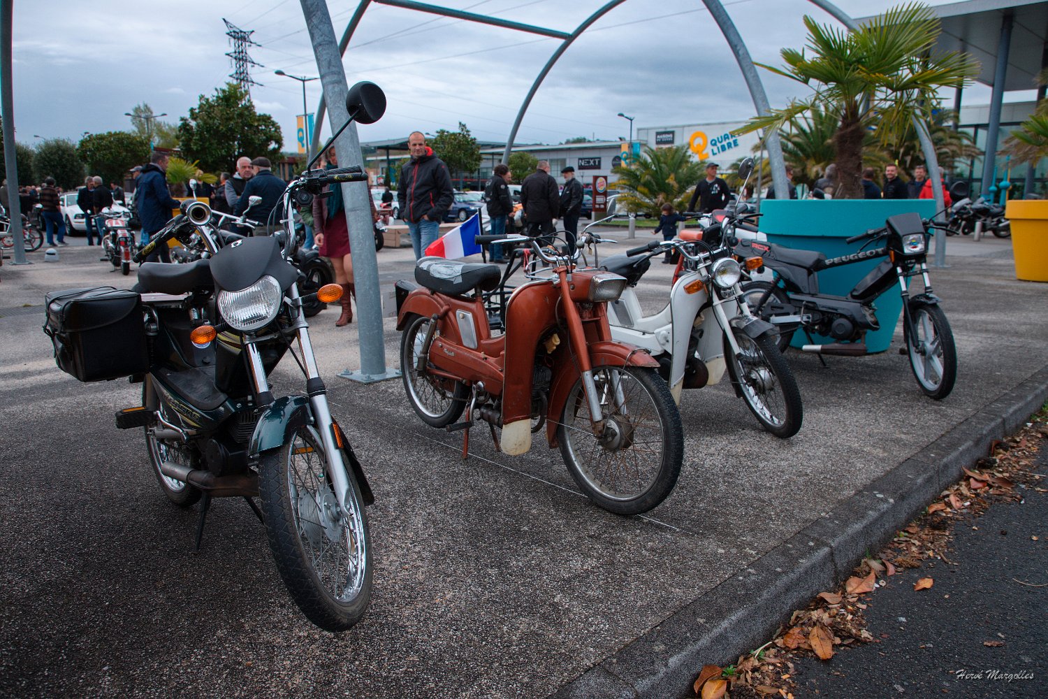 x-velomoteur.jpg