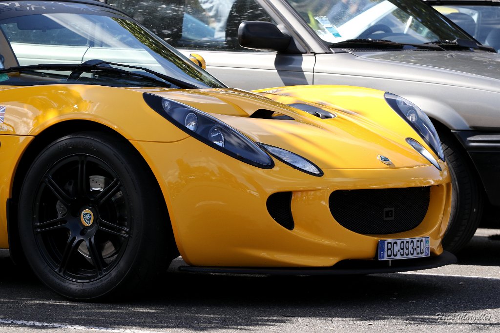 Lotus-01.jpg