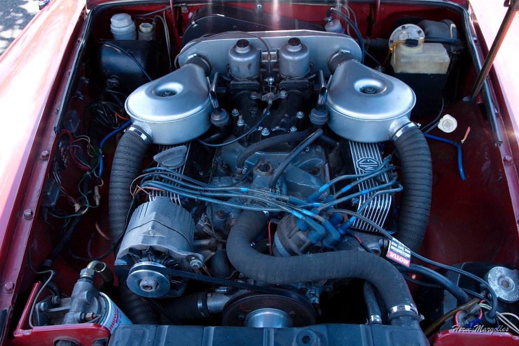 MG-B-V8.jpg