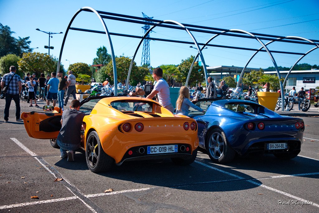 LOTUS-01.jpg