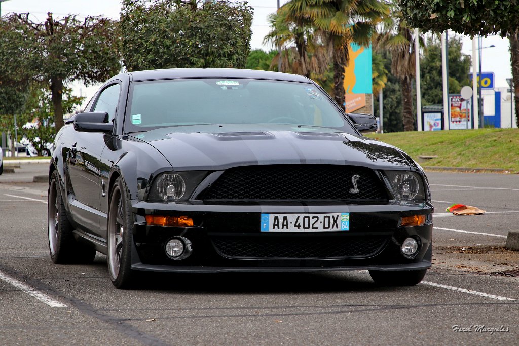 Ford-Mustang-Cobra.JPG