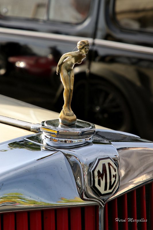 MG-01.JPG