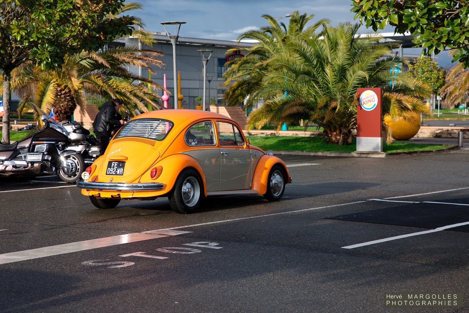 VW-COX-01.jpg